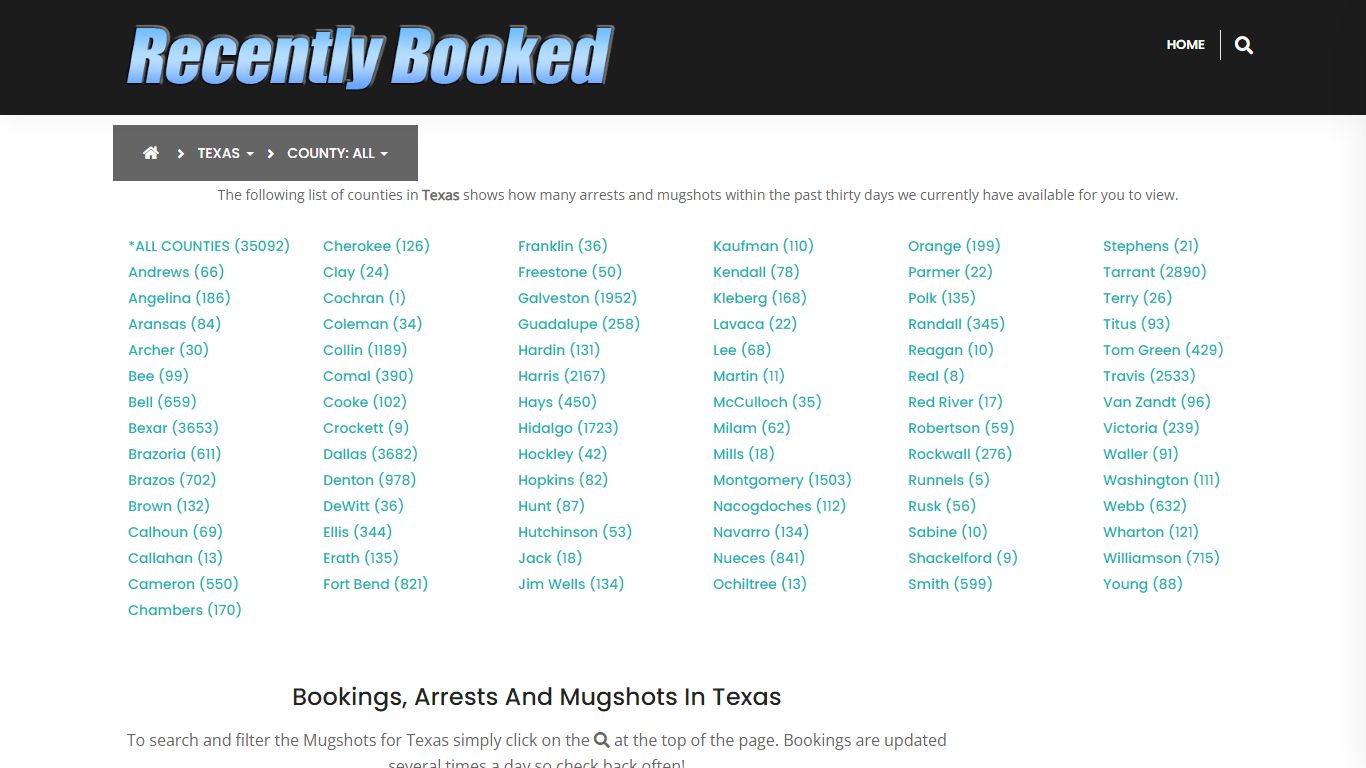 Bookings, Arrests and Mugshots in Palo Pinto County, Texas
